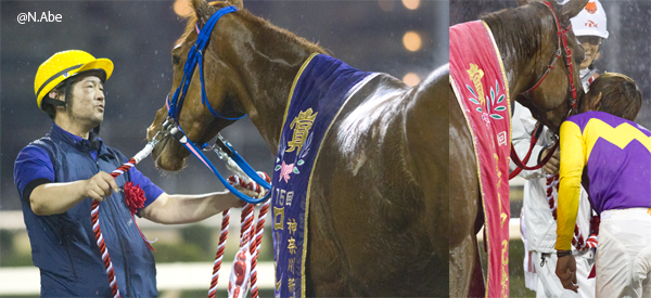  第12回 雨中決戦とその後の煌めきシーン　川崎の牝馬重賞の画像