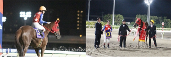  第90回 チーム益田　スピーディキックで南関東牝馬2冠達成の画像