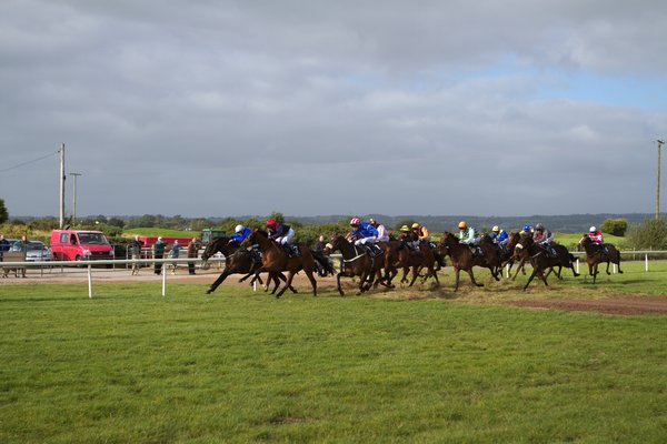 ダウンロイヤル競馬場の画像