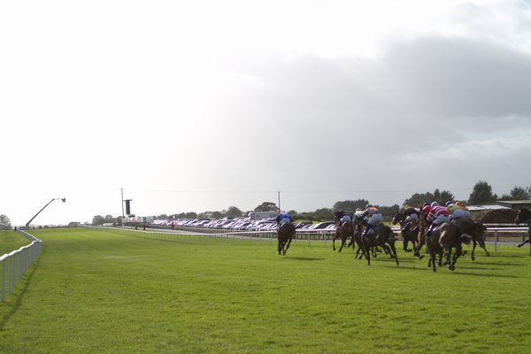 ダウンロイヤル競馬場の画像