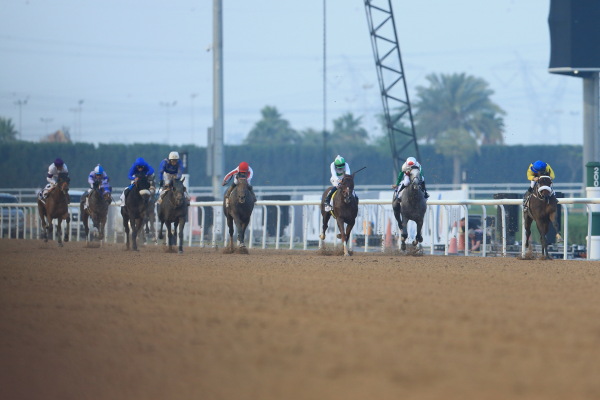 【速報版】4R UAE Derby（UAEダ－ビー）の画像