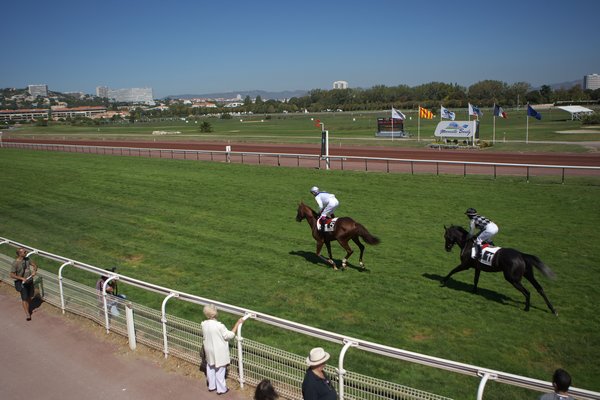 本馬場入場の画像