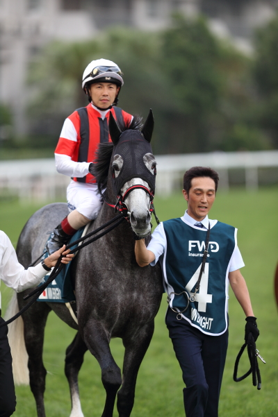 ウインブライト｜2019香港チャンピオンズデー現地取材レポート｜日本馬 