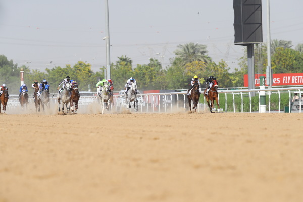 【速報版】1レース・ドバイカハイラクラシック（G1 ダート2000m）の画像