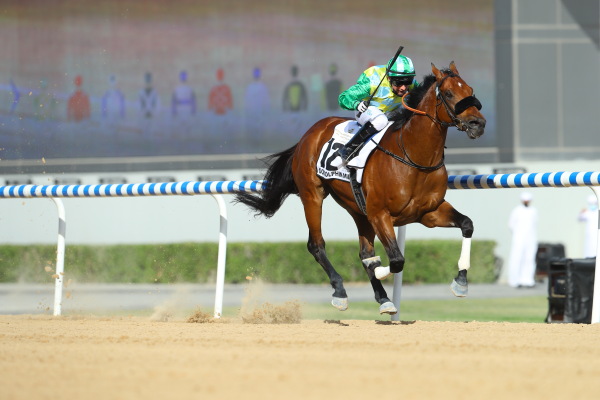 【速報版】2レース・ゴドルフィンマイル（G2 ダート1600m）の画像