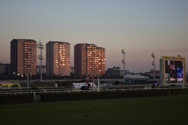 本馬場入場の画像