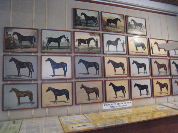 馬の博物館の画像