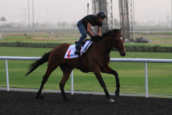 3･28　今朝の日本馬の画像