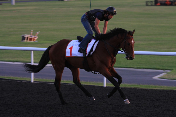 3･30　今朝の日本馬の画像