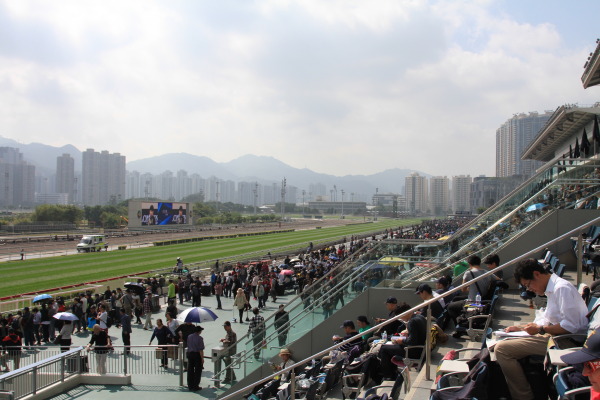 2016 ロンジン香港国際競走の画像