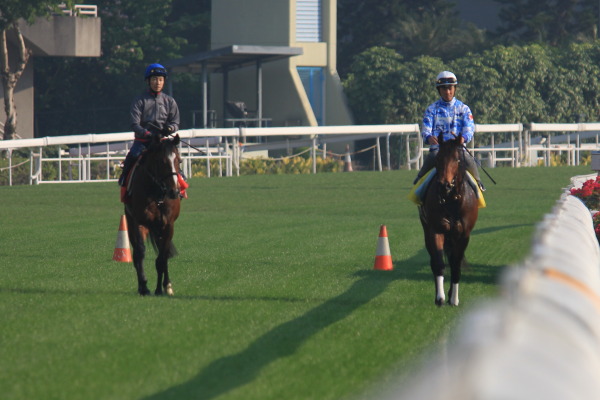 12.4　ロンジン香港国際競走・今朝の日本馬の画像