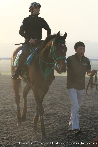 3.22　今朝の日本馬の画像