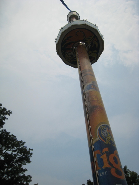 タイガー・スカイ・タワーの画像