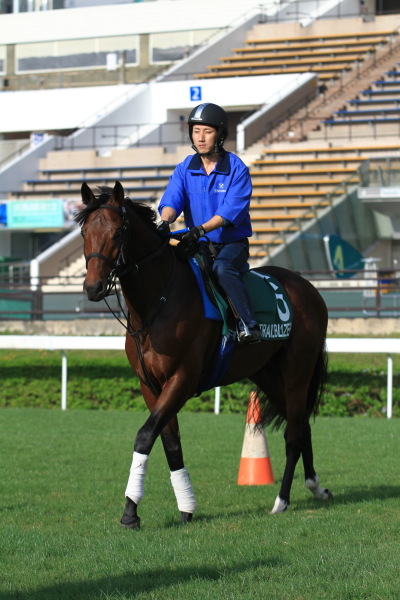 今朝の日本馬　12.7の画像