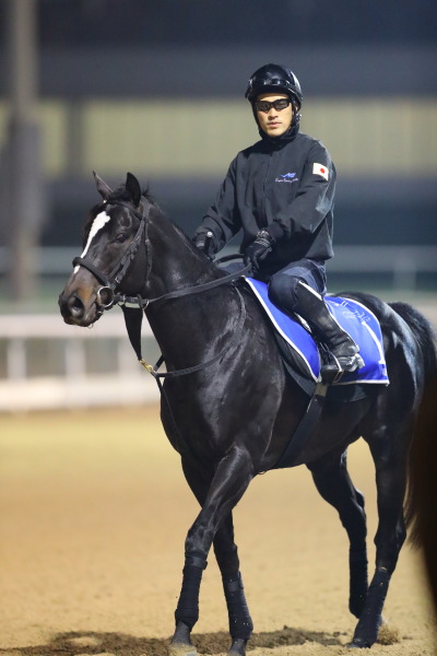 3.27　今朝の日本馬の画像