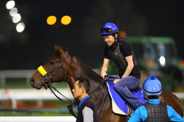 3.27　今朝の日本馬の画像