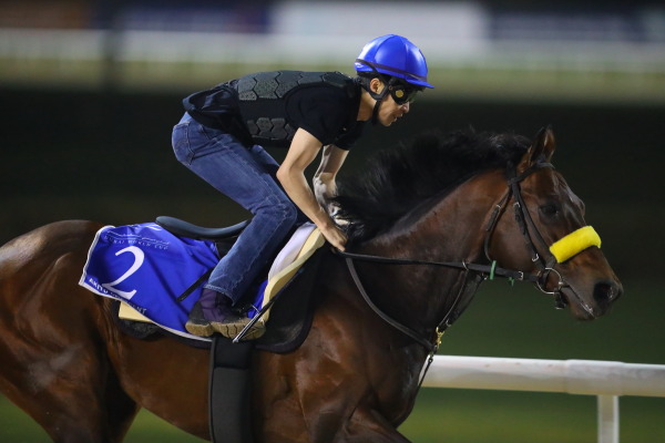 3.27　今朝の日本馬の画像