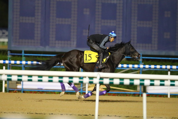 3.27　今朝の日本馬の画像