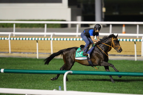 3.27　今朝の日本馬の画像