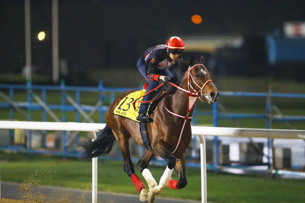 3.28　今朝の日本馬の画像