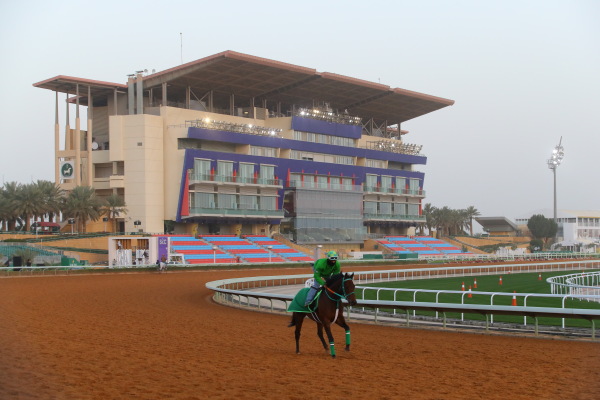 2･27　キングアブドゥルアジーズ競馬場の画像