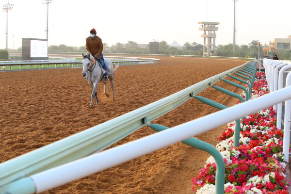 2･27　キングアブドゥルアジーズ競馬場の画像