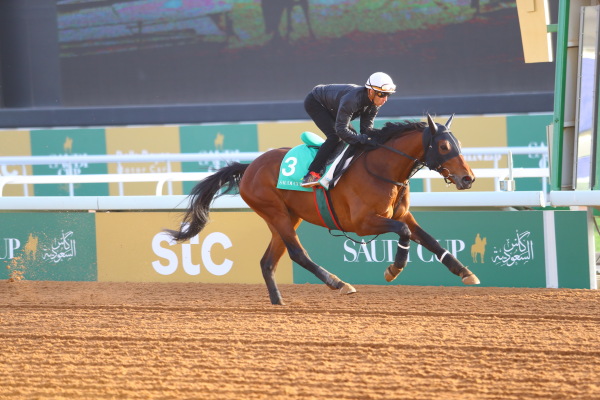 2･27　今朝の日本馬の画像