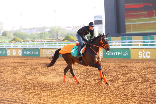 2･27　今朝の日本馬の画像