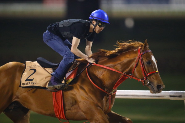 3.28　今朝の日本馬の画像