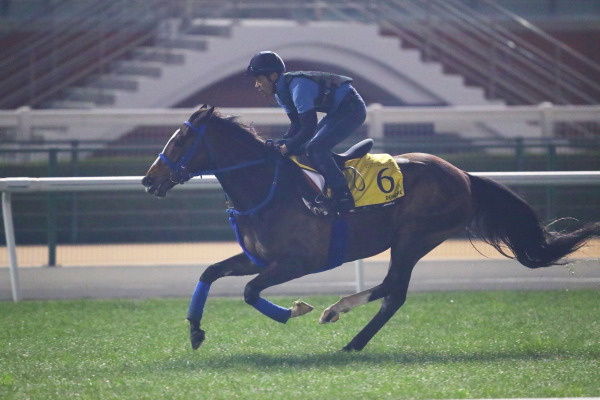 3.28　今朝の日本馬の画像