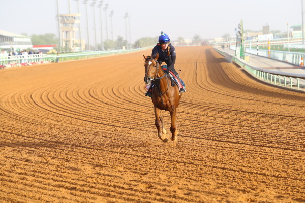 2･27　キングアブドゥルアジーズ競馬場の画像