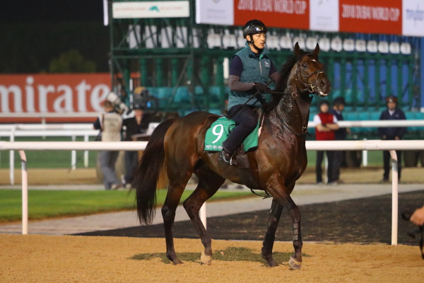 3.29　今朝の日本馬の画像