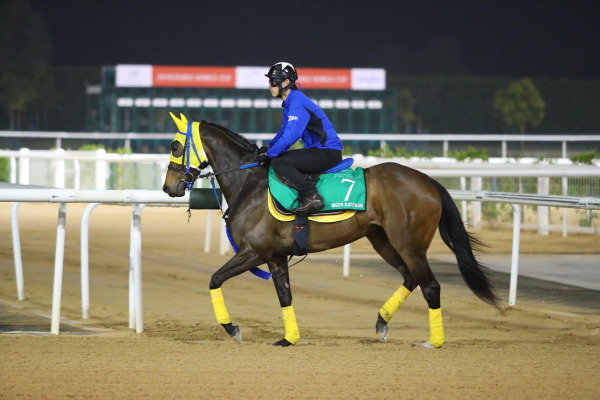 3.30　今朝の日本馬の画像