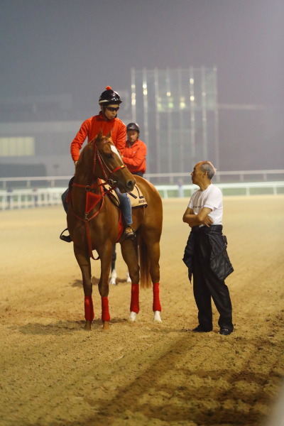 3.30　今朝の日本馬の画像