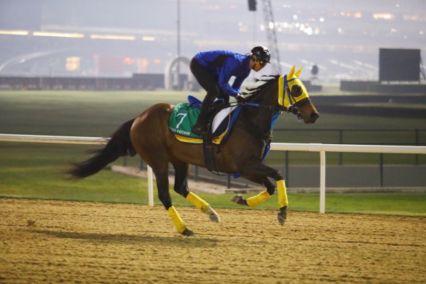 3.30　今朝の日本馬の画像