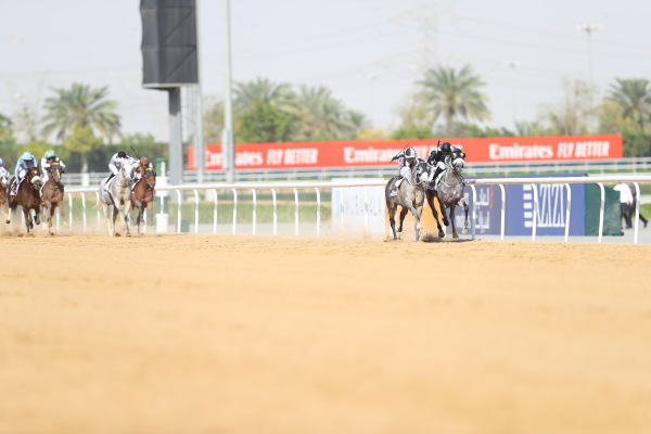 【速報版】1レース・ドバイカハイラクラシック（G1 ダート2000m）の画像