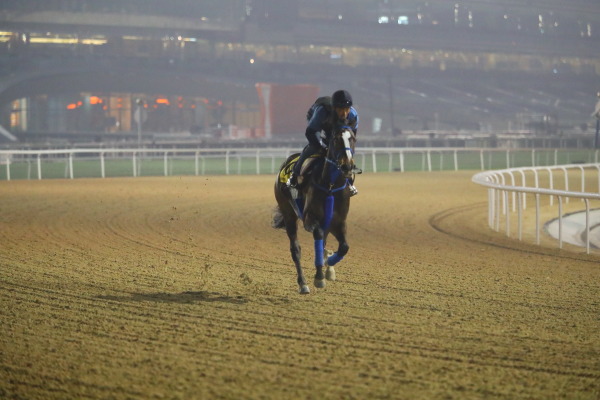 3.30　今朝の日本馬の画像