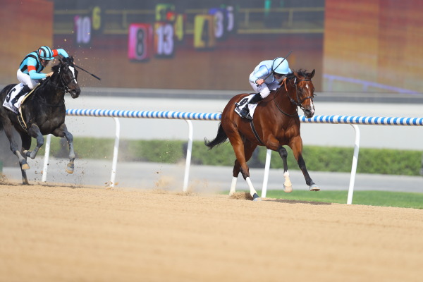 【速報版】1レース・ゴドルフィンマイル（G2 ダート1600m）の画像