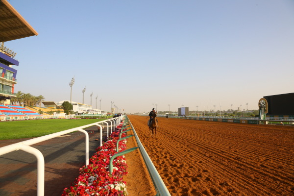 2･27　キングアブドゥルアジーズ競馬場の画像