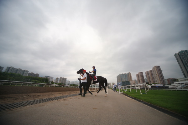4.27　今朝の日本馬調教の画像