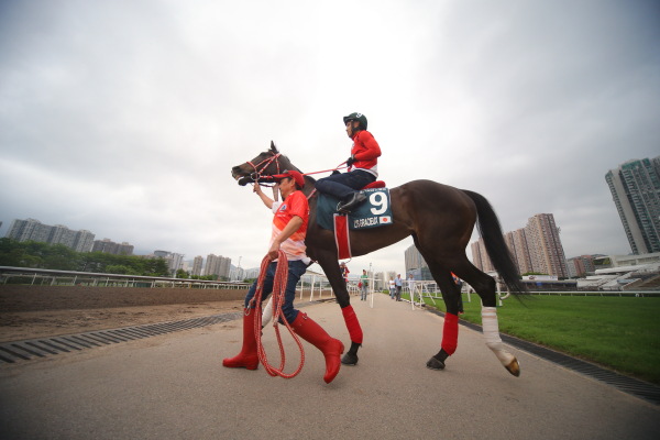4.27　今朝の日本馬調教の画像