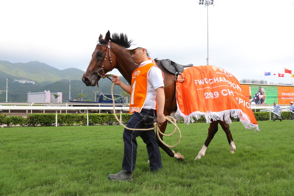 【速報版】7レース チャンピオンズマイル（芝1600m G1）の画像