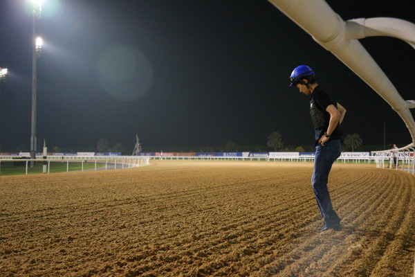 3.27　今朝の日本馬の画像