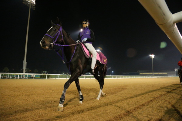 3.27　今朝の日本馬の画像