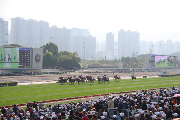 2017香港国際競走の画像