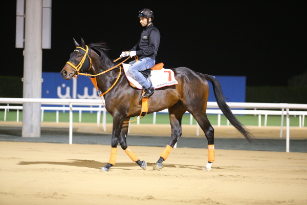 3.24　日本馬の様子の画像