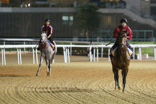 3.24　日本馬の様子の画像