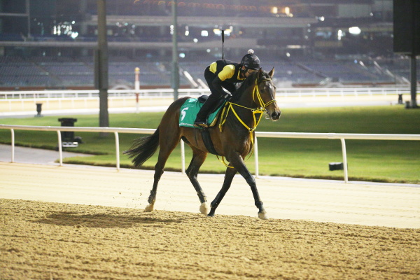 3.24　日本馬の様子の画像