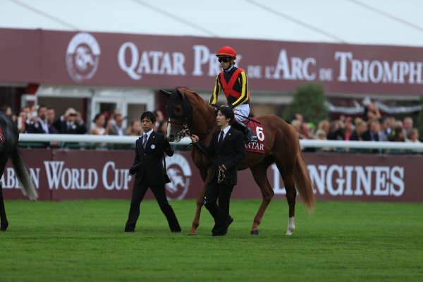 【速報版】5R Qatar Prix De L