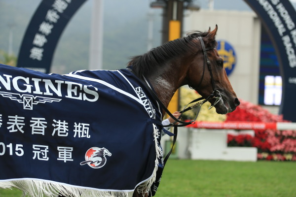 【速報版】第4レース香港ヴァーズ(HK Vase・2400m)の画像